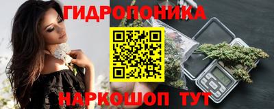 шишки Будённовск